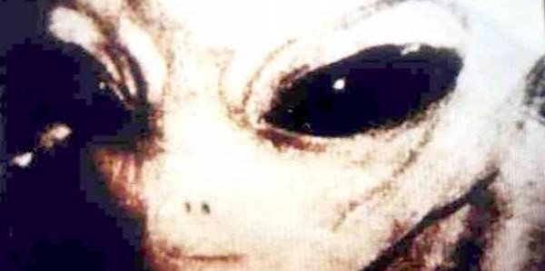 Facts about Alien Life Forms, Part I