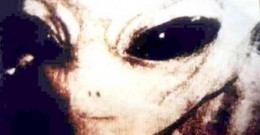 Facts about Alien Life Forms, Part I