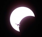 Amazing Eclipse Over Bangkok